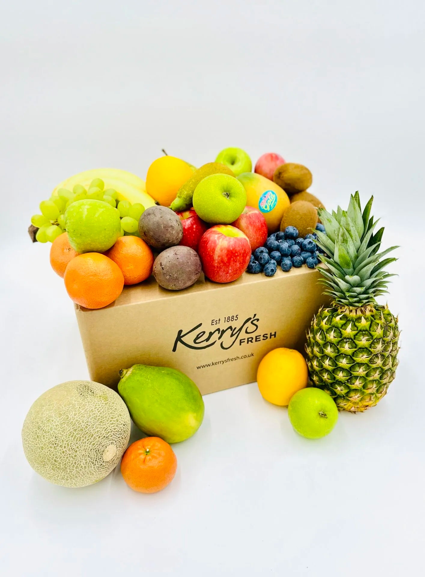 Extra Large Fruit Box -15 Varieties